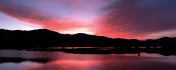 phpthumb_generated_thumbnail-1