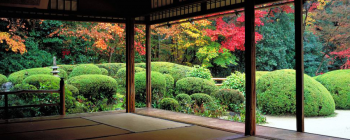 phpthumb_generated_thumbnail